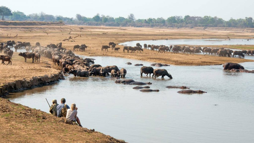 The best time to travel to Zambia
