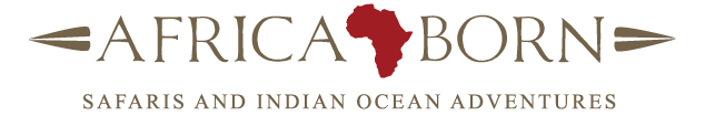 Africa Born Logo
