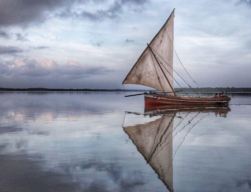 Why Lamu Will Capture Your Hearts