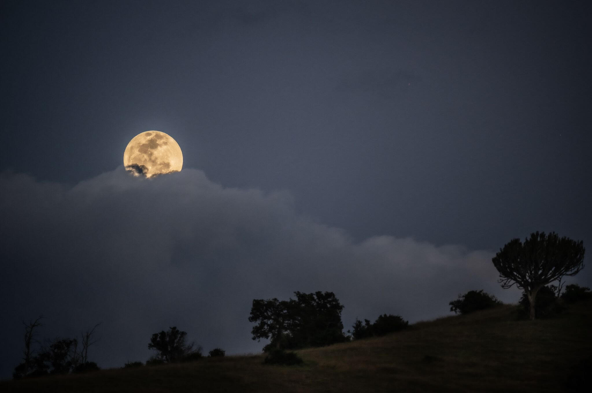 Moon rises over Borana © Rodger Bowren