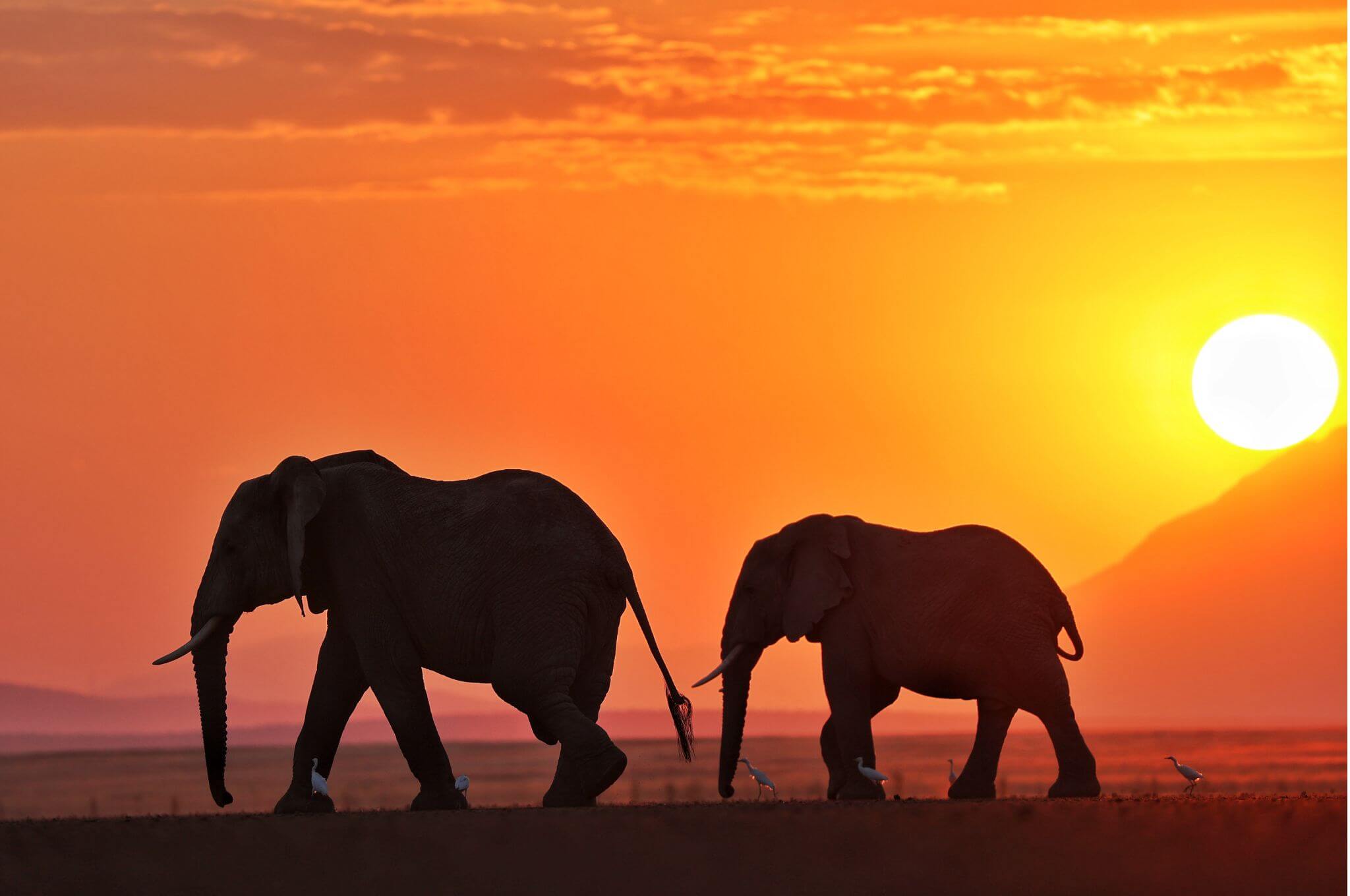 Amboseli Sunsets © Paolo Parazzi