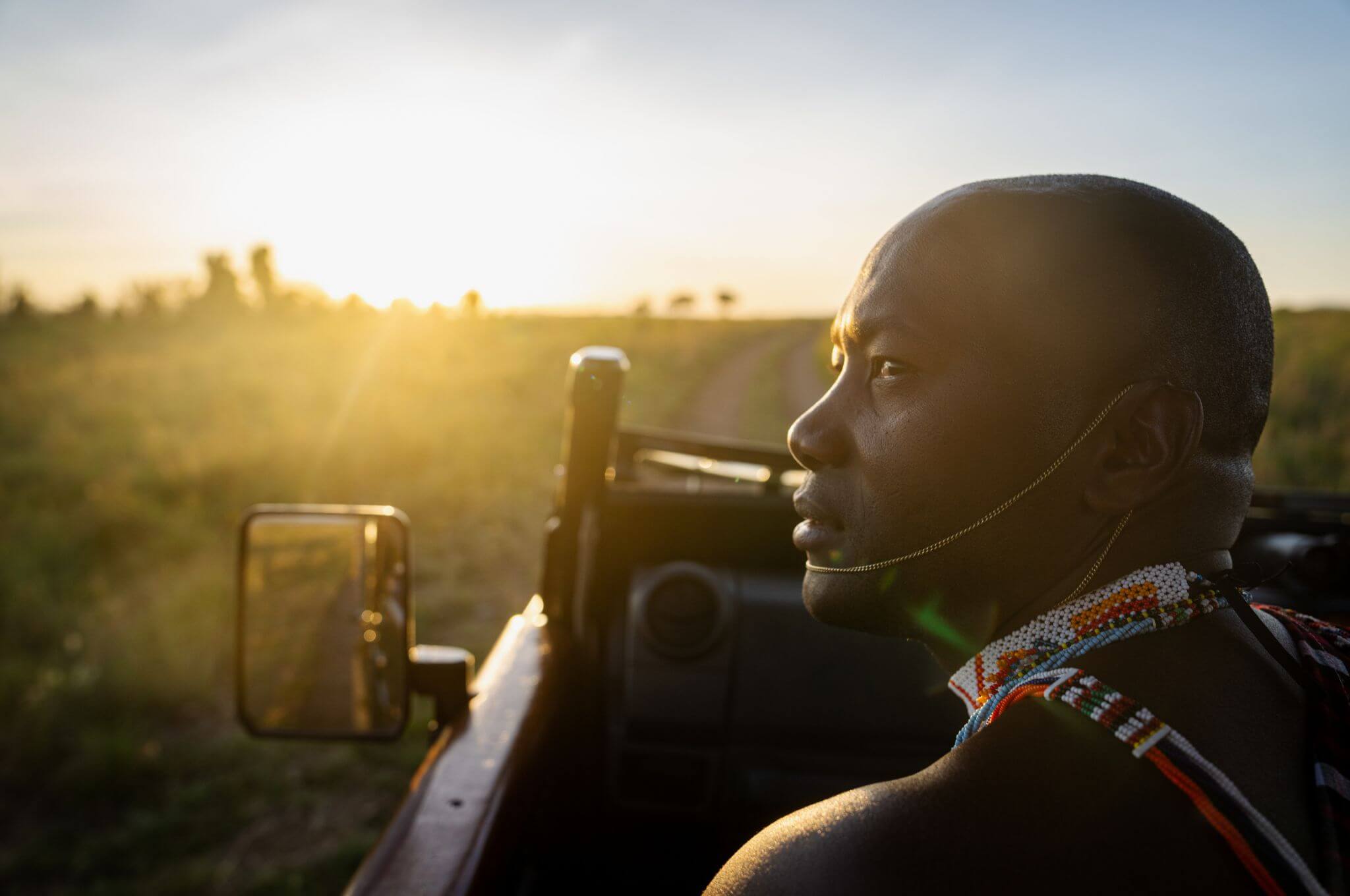 Each of our cars has a guide and skilled spotter to help track wildlife.