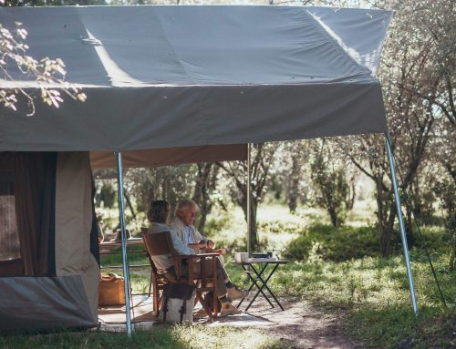 A day at our luxury safari mobile camp