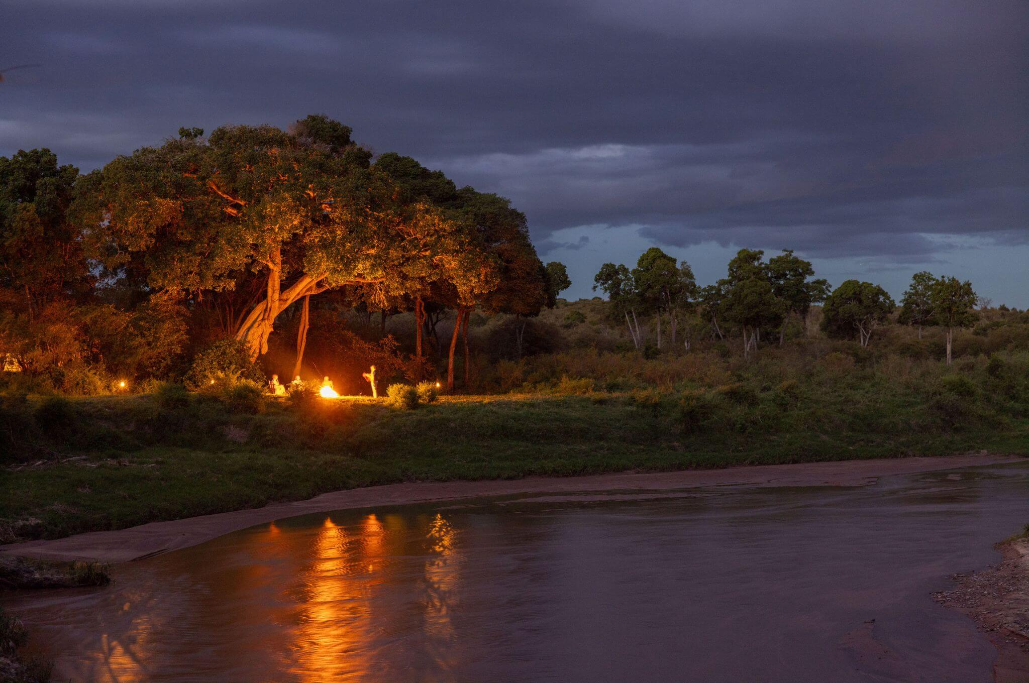 While we prepare for sleep, the bush comes alive with nocturnal creatures.